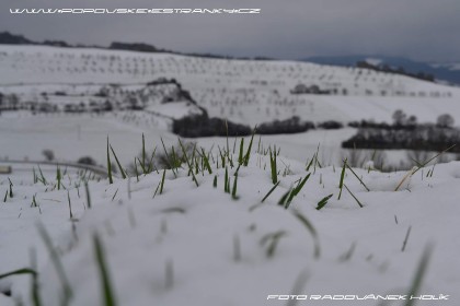 snehova_nadilka_v_dubnu_-_019.jpg